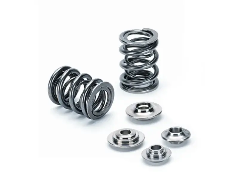 Valve Springs