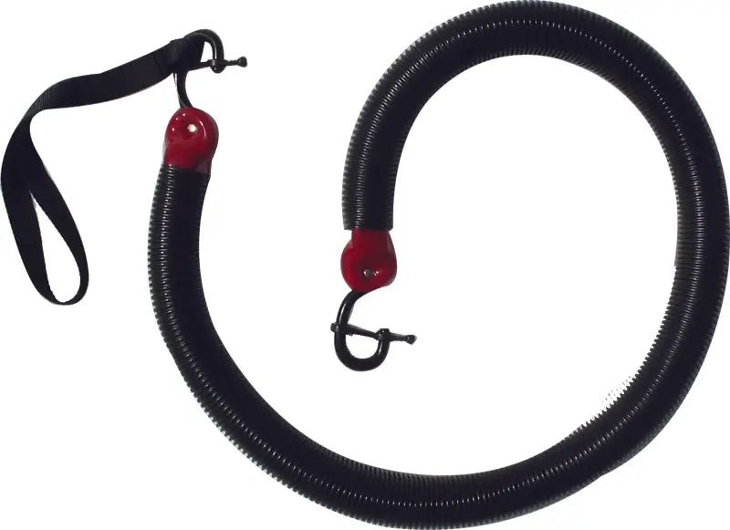 1002 Snobunje Cobra