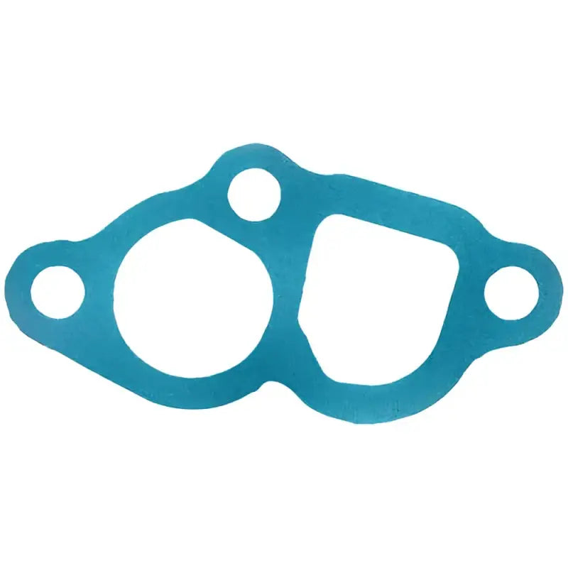 11731 Water Pump Gasket