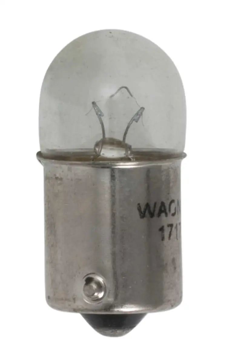 17171 Tail Light Bulb