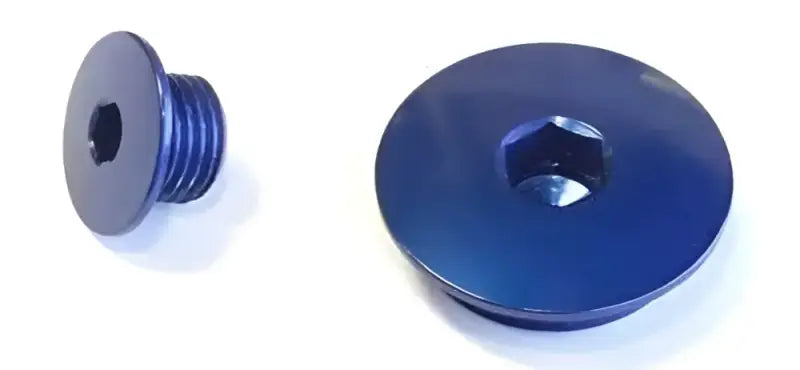 24-603 Engine Plugs Blue