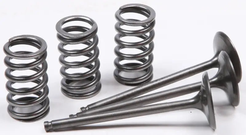 28.SIS2424-2 Intake Valve Conversion Set Ti Steel Gas/Yam - Spring Kit