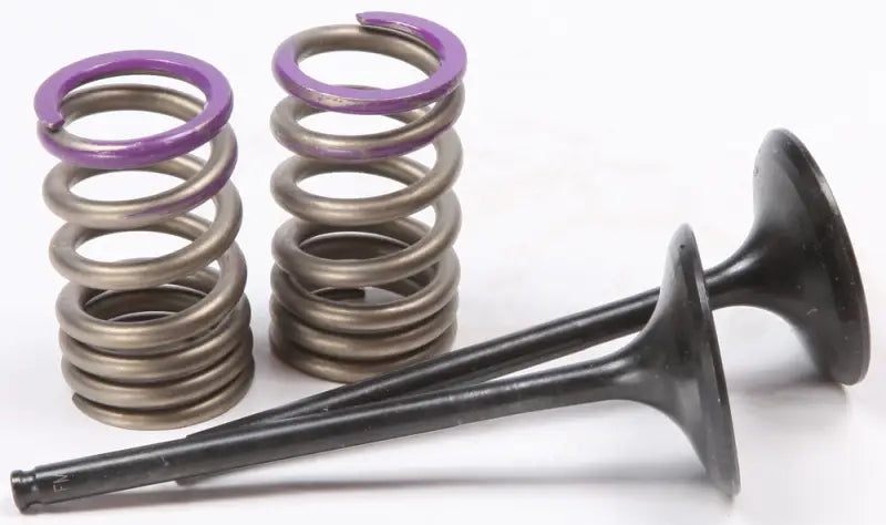 28.SIS4338-2 Intake Valve Conversion Set Ti Steel Kaw - Spring Kit