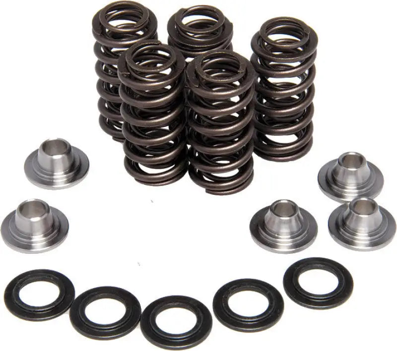 30-32400 Racing Valve Spring Kit