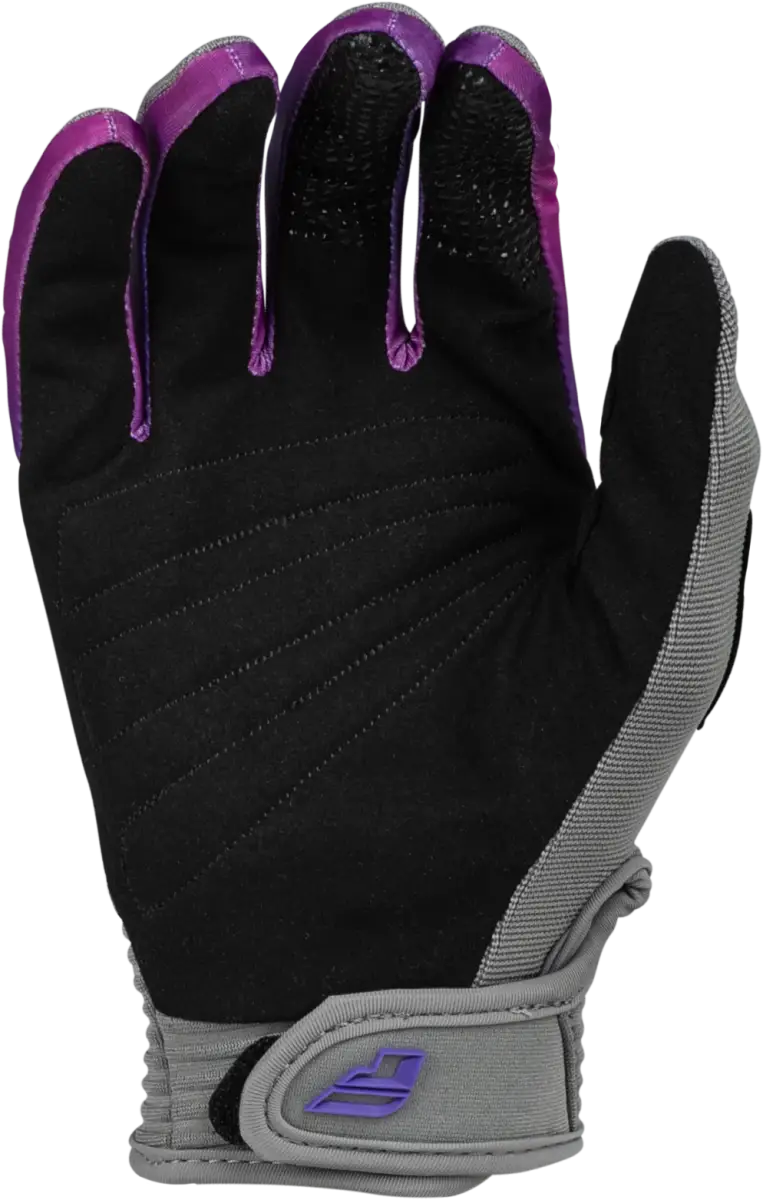 377-210YXS Youth F 16 Gloves Grey/Pink/Purple Yxs - RV and Auto Parts