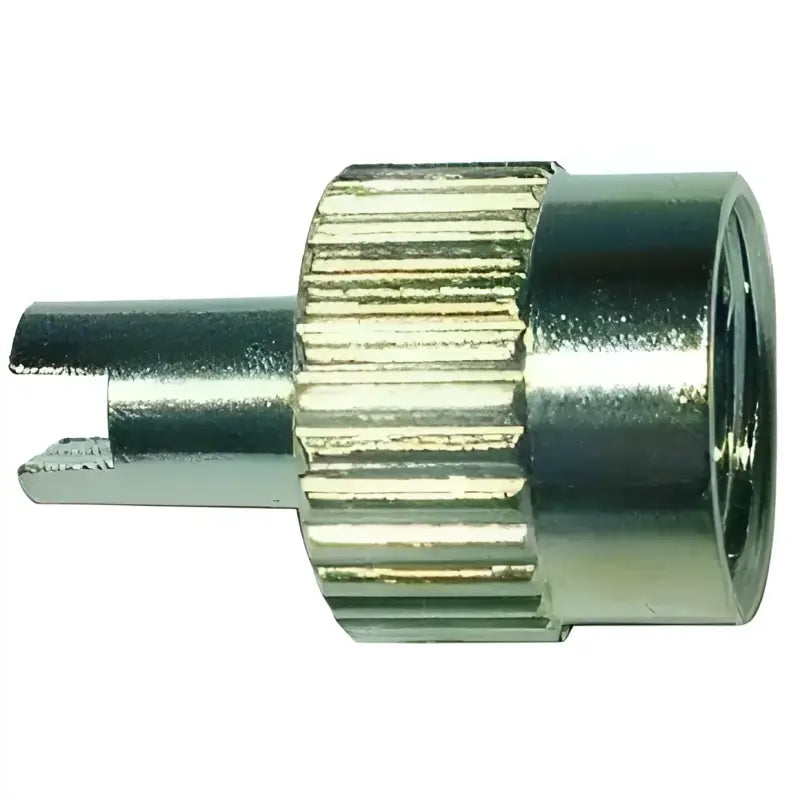 38-600-4 Valve Stem Cap