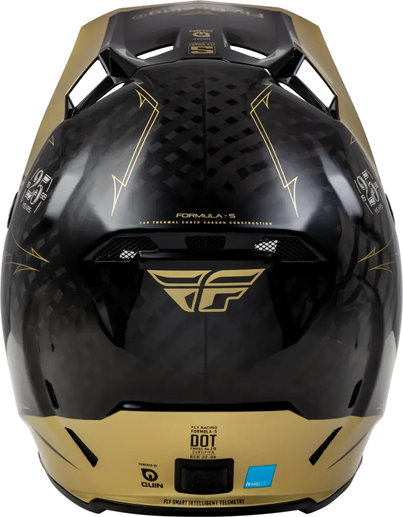 73-4446L Formula S Carbon Legacy Helmet Black/Gold Lg - RV and Auto Parts