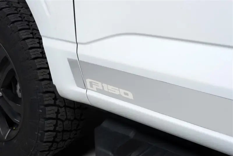 9751471FD Putco Ford Lic. Ss Rocker Panels Fits; 20