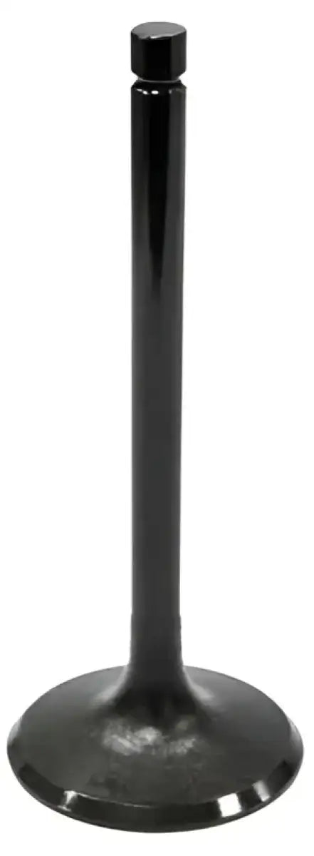 BRONCO AU-09009E Exhaust Valve