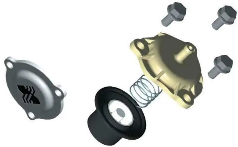 BorgWarner 179427