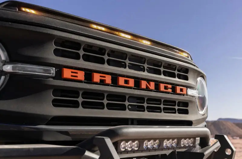 Bug Shield Low Profile; Black; Thermoplastic Olefin (TPO) - Truck & Automotive
