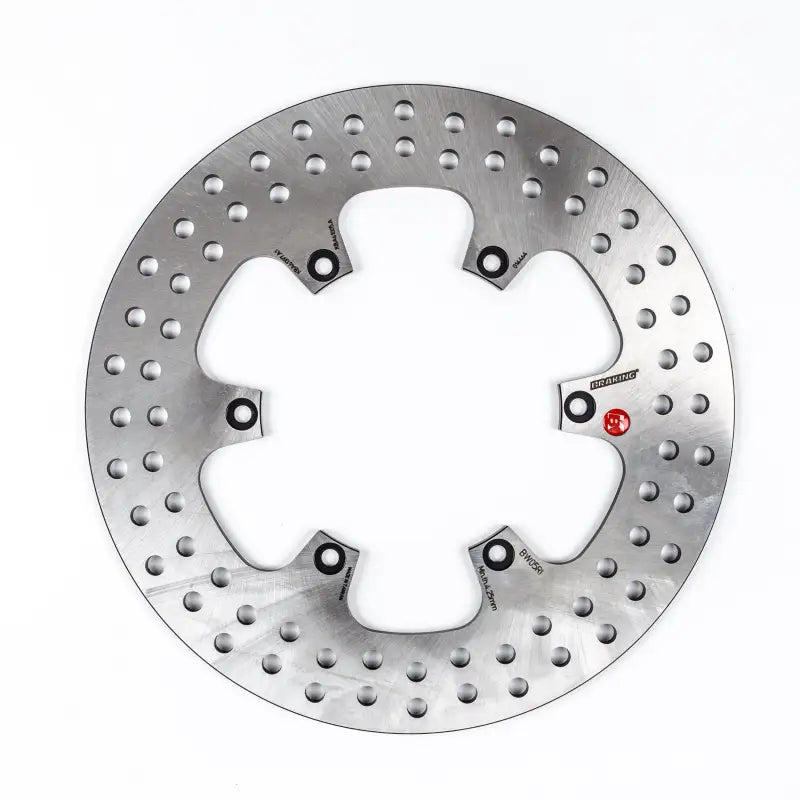BW05RI Rotor Rear