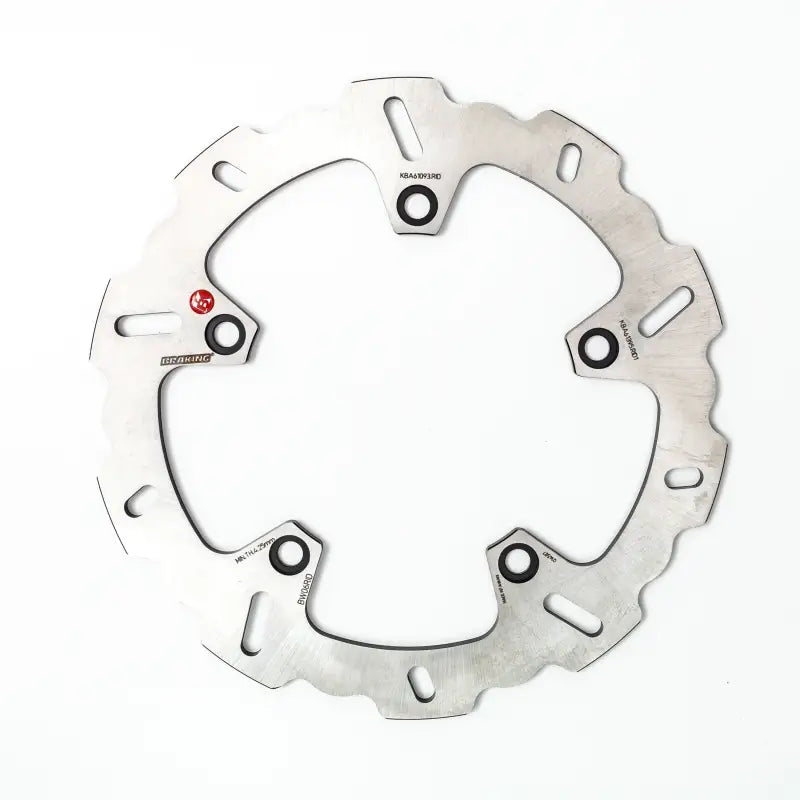 BW06RID Rotor Rear