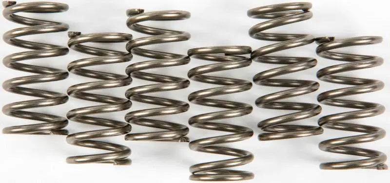 EBC CSK158 Clutch Springs