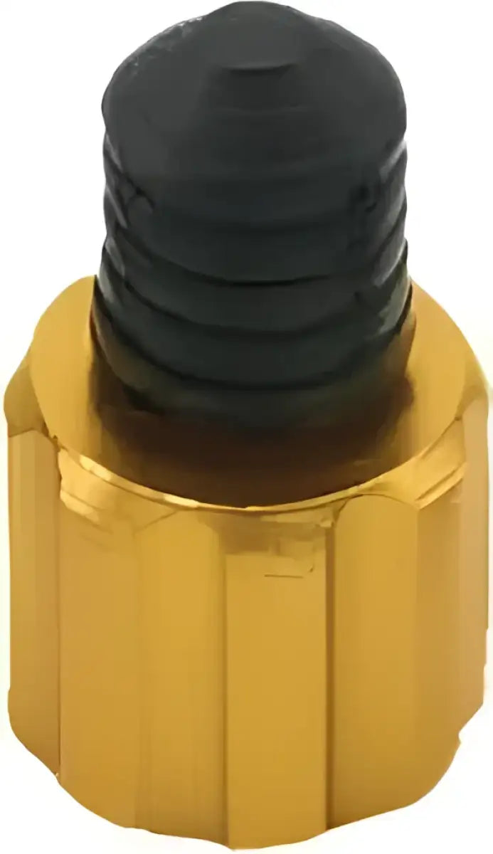D58-05-103 Air Valve Caps Valve Wrench Gold 2/Pk