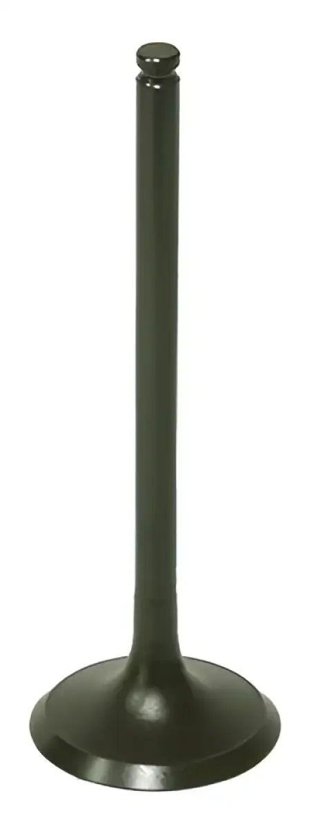 BRONCO Exhaust Valve for Powersports