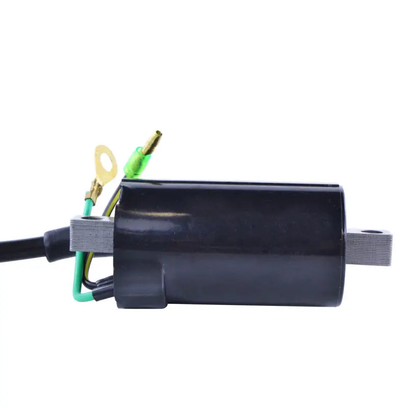 External Ignition Coil - RM STATOR