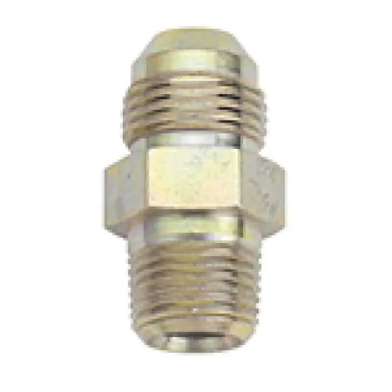 Fragola 581605