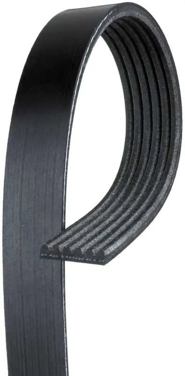 K070669 Serpentine Belt