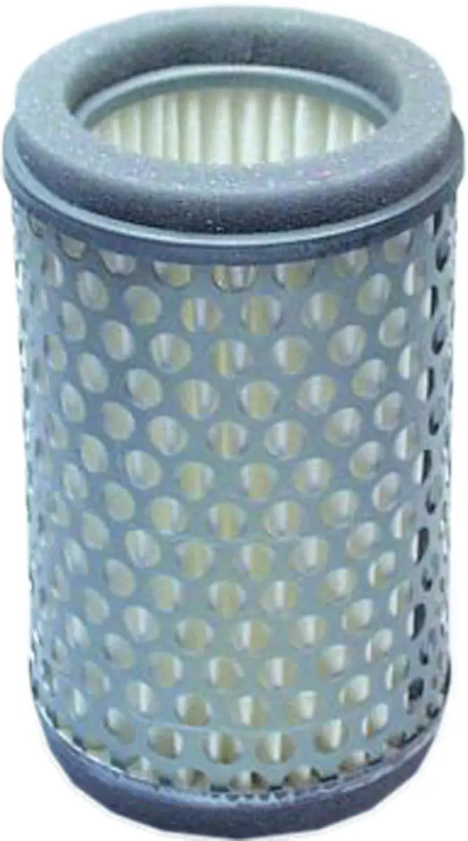 HFA2403 Air Filter