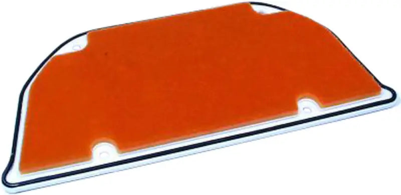 HFA2905 Air Filter