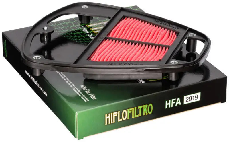 HFA2919 Air Filter