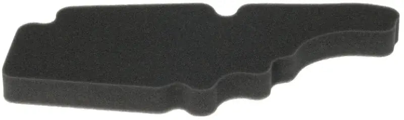 HFA5202DS Air Filter