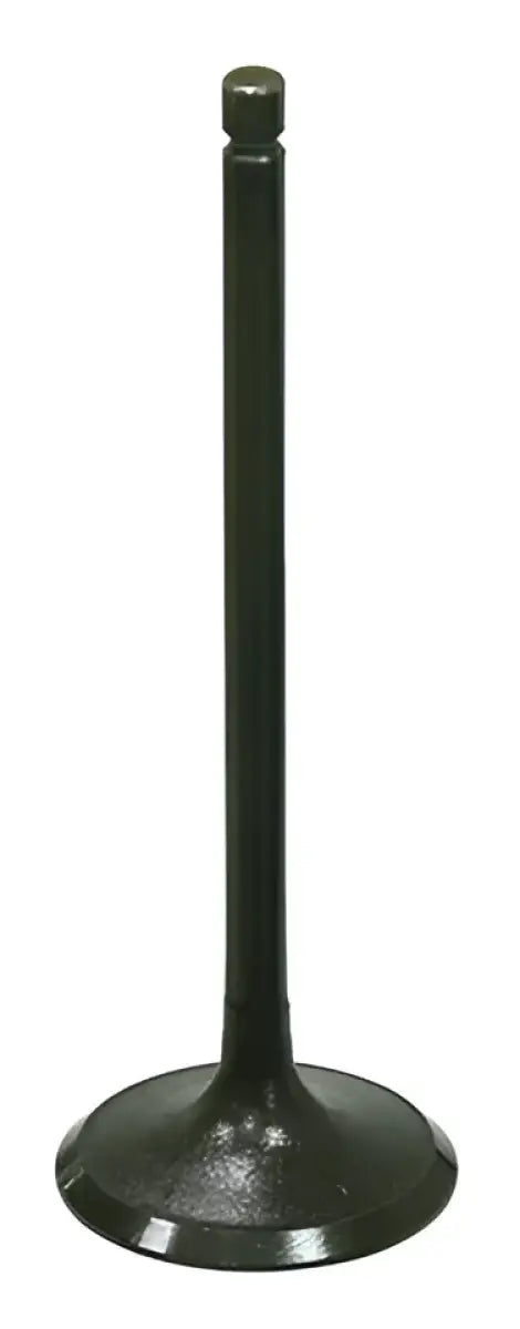 BRONCO Intake Valve for Powersports