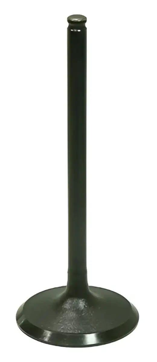 BRONCO Intake Valve for Powersports