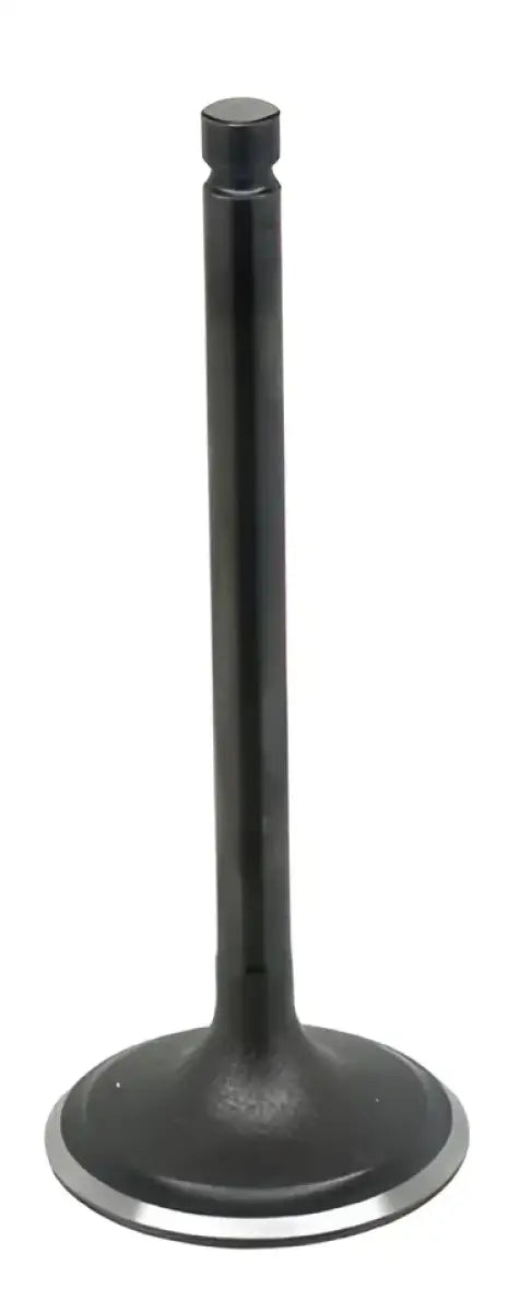 BRONCO Intake Valve for Powersports