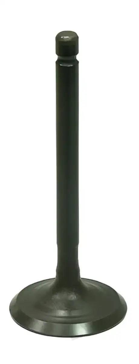 BRONCO Intake Valve for Powersports
