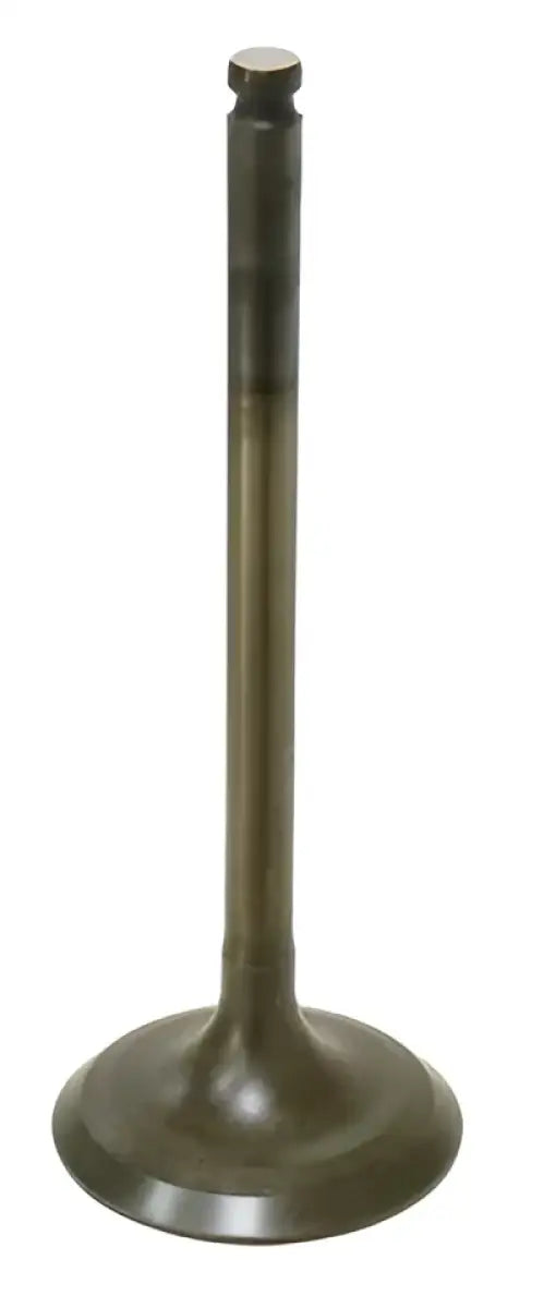 BRONCO Intake Valve for Powersports