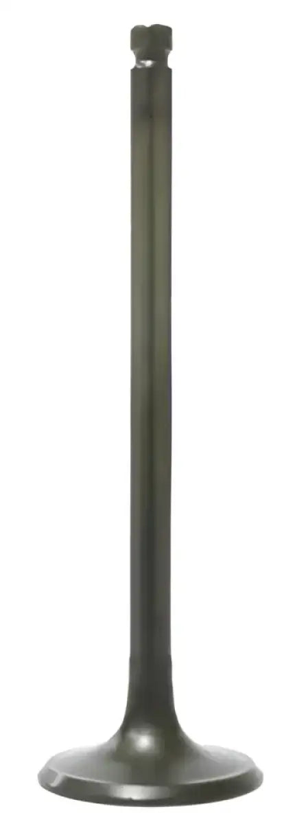 BRONCO Intake Valve for Powersports