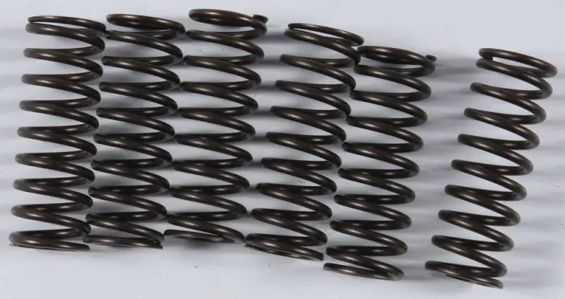KGS-807 High Performance Spring Set