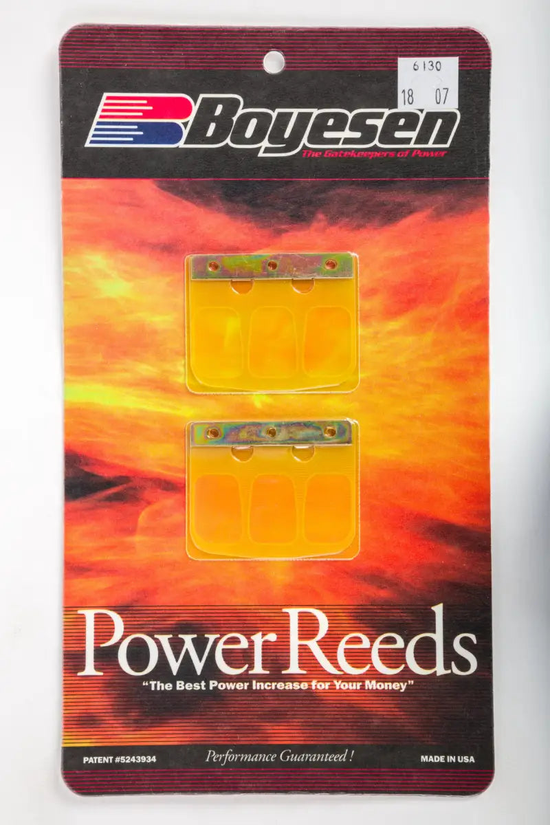 Motorcycle Reeds