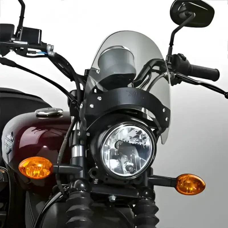 N2530-002 Flyscreen Windscreen Smoke Black Hardware