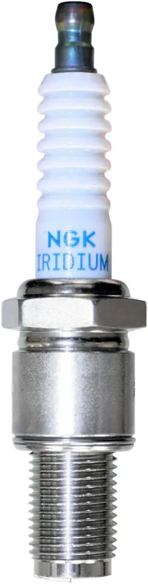 NGK 6448