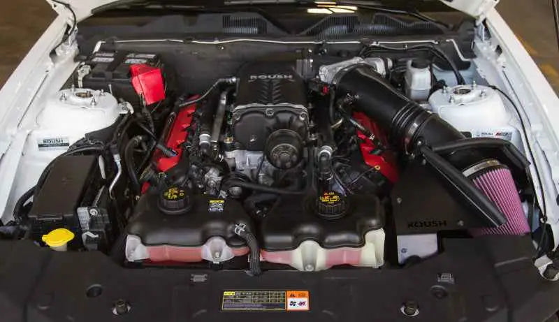 Roush 421389