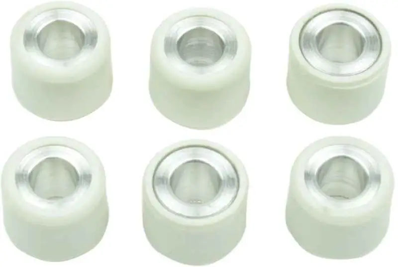 S41000030P032 Clutch Roller Kit 6 Roller 16x13 9.5 Gr