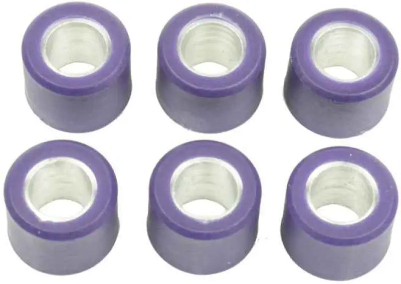 S41000030P093 Clutch Roller Kit 6 Roller 16x13 7 Gr