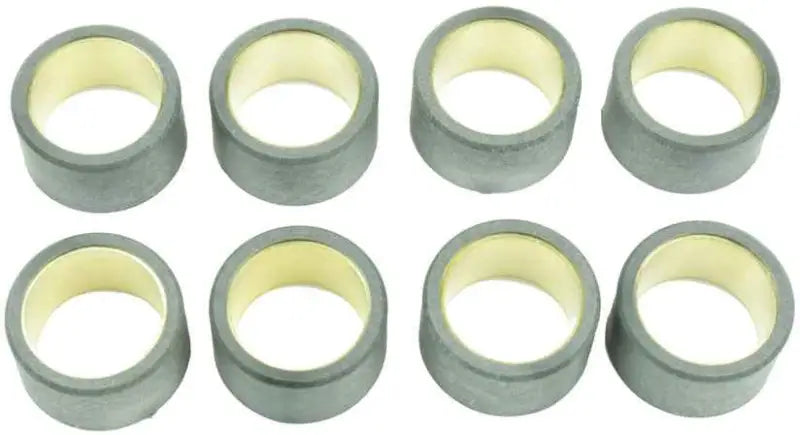 S41000030P109 Clutch Roller Kit 8 Roller 25x14.9 16 Gr