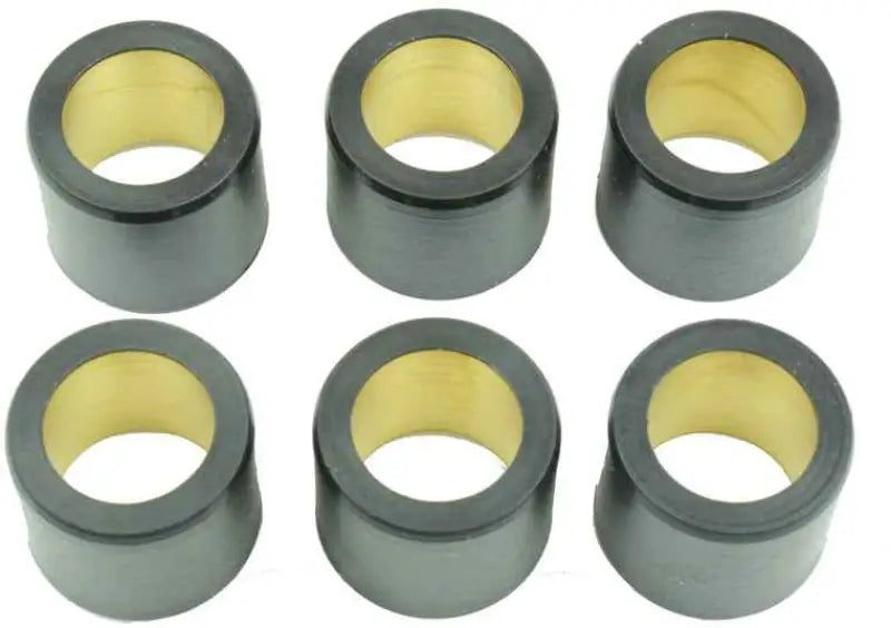 S41000030P113 Clutch Roller Kit 6 Roller 25x22.2 22 Gr