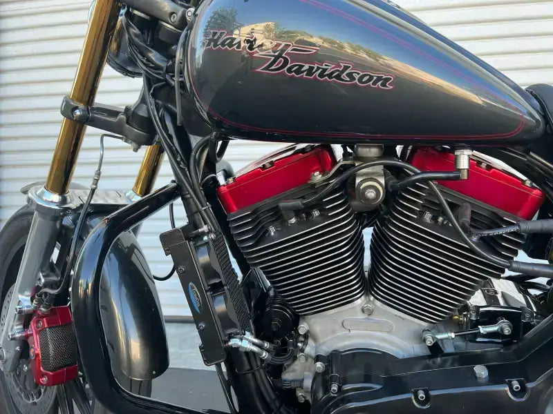 Side Mount Naked Oil Cooler Tc Touring `09 16 Blk