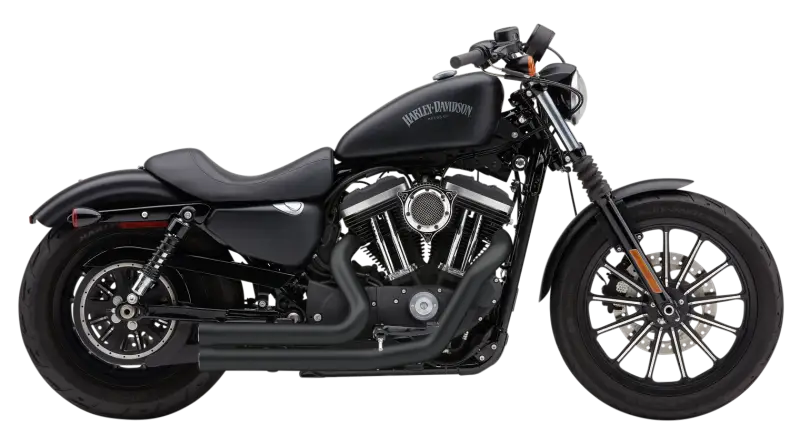 Speedster 909 Black Sportster 14 22 - COBRA