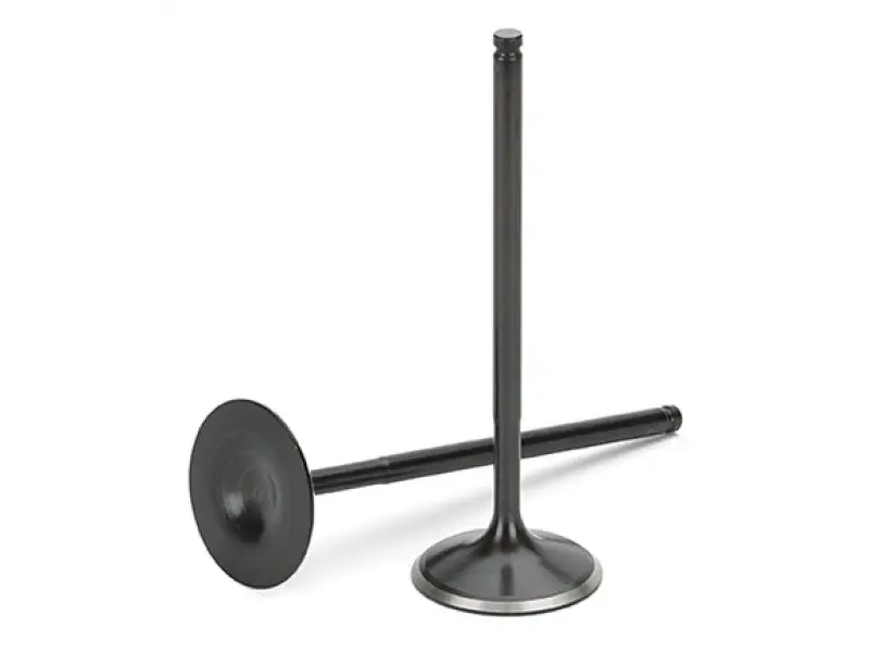 Black Nissan RB25 intake valves with hydraulic lifters for Supertech Nissan RB25 engines