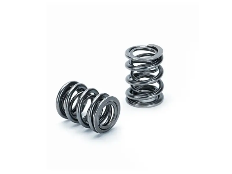 Supertech Supertech Toyota 4AGE 16V Dual Valve Spring - Set of 16