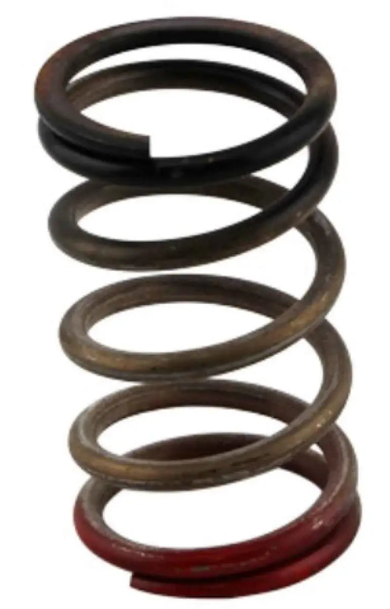 Turbosmart TS-0550-3112