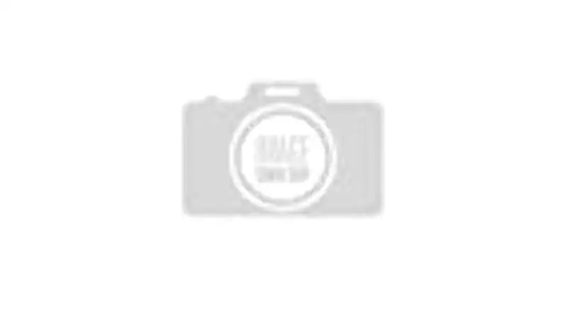 WA9861 Wix Filtr Ld Air Filter