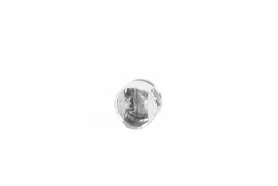 Shiny silver engine piston from 01.1480.000 Piston Kit for RV, truck parts & accessories