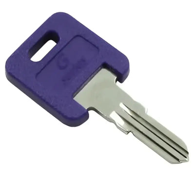 Replacement key for AP Products Globle locks with key code #391, ensuring security for RV, automotive, powersports, off-road, marine, exterior, truck accessories, interior, truck bed, RV parts, RV Indoor Accessories, AVADA - Best Sellers